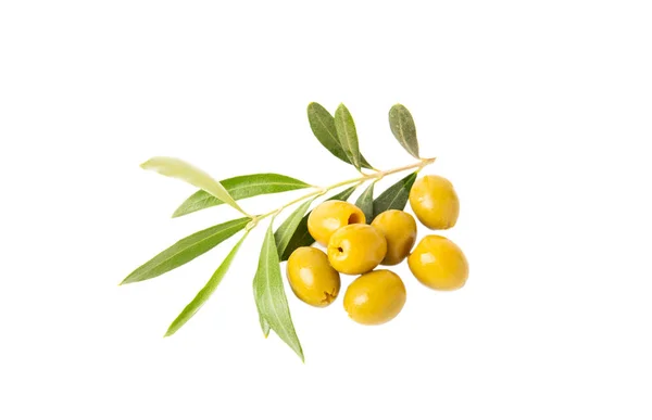 Delicious Green Olives Isolated White Background Olive Olive Tree Branches — Stock Photo, Image