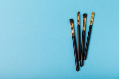 Mavi arka planda kozmetik makyaj fırçası. Makyaj için kozmetik ürün. Yaratıcı ve güzel moda konsepti. Moda. Makyaj fırçası koleksiyonu, üst görünüm, afiş. Metin için yer. 