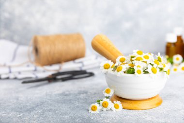 Havanda papatya çiçekleri ahşap bir masada. Şifalı bitkiler. Alternatif tıp. İyileşiyor. Homeopati. Doğal bitkisel kozmetik konsepti. Doğal çay. Uzayı kopyala Düz yatıyordu