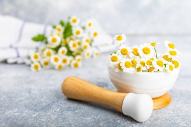 Havanda papatya çiçekleri ahşap bir masada. Şifalı bitkiler. Alternatif tıp. İyileşiyor. Homeopati. Doğal bitkisel kozmetik konsepti. Doğal çay. Uzayı kopyala Düz yatıyordu