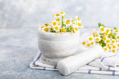 Havanda papatya çiçekleri ahşap bir masada. Şifalı bitkiler. Alternatif tıp. İyileşiyor. Homeopati. Doğal bitkisel kozmetik konsepti. Doğal çay. Uzayı kopyala Düz yatıyordu