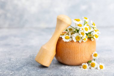 Havanda papatya çiçekleri ahşap bir masada. Şifalı bitkiler. Alternatif tıp. İyileşiyor. Homeopati. Doğal bitkisel kozmetik konsepti. Doğal çay. Uzayı kopyala Düz yatıyordu