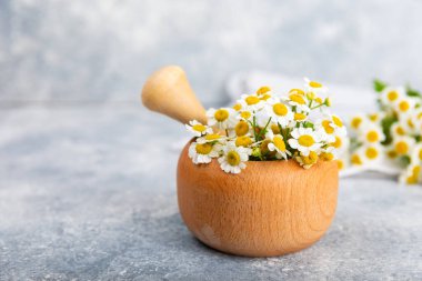 Havanda papatya çiçekleri ahşap bir masada. Şifalı bitkiler. Alternatif tıp. İyileşiyor. Homeopati. Doğal bitkisel kozmetik konsepti. Doğal çay. Uzayı kopyala Düz yatıyordu