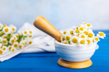 Havanda papatya çiçekleri ahşap bir masada. Şifalı bitkiler. Alternatif tıp. İyileşiyor. Homeopati. Doğal bitkisel kozmetik konsepti. Doğal çay. Uzayı kopyala Düz yatıyordu
