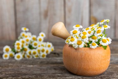 Havanda papatya çiçekleri ahşap bir masada. Şifalı bitkiler. Alternatif tıp. İyileşiyor. Homeopati. Doğal bitkisel kozmetik konsepti. Doğal çay. Uzayı kopyala Düz yatıyordu