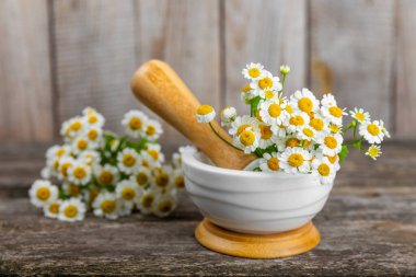 Havanda papatya çiçekleri ahşap bir masada. Şifalı bitkiler. Alternatif tıp. İyileşiyor. Homeopati. Doğal bitkisel kozmetik konsepti. Doğal çay. Uzayı kopyala Düz yatıyordu