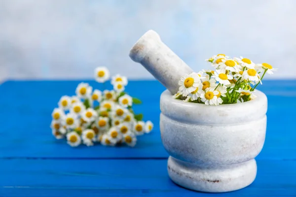 Flores Camomila Argamassa Uma Mesa Madeira Texturizada Ervas Curativas Medicina — Fotografia de Stock