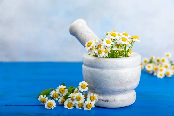 Flores Camomila Argamassa Uma Mesa Madeira Texturizada Ervas Curativas Medicina — Fotografia de Stock