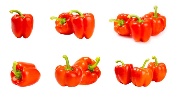 Paprika Fresh Whole Red Bell Pepper Isolated White Background Bulgarian — Stock Photo, Image