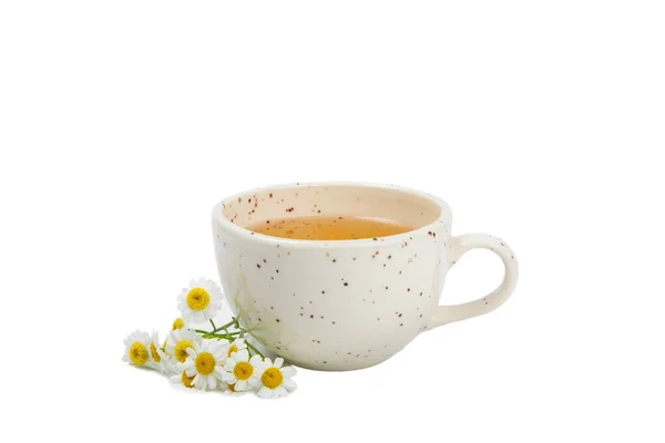 Pyszne Tonik Kojące Relaksujące Herbaty Rumianku Kwiatów Rumianku Izolowane Białym — Zdjęcie stockowe