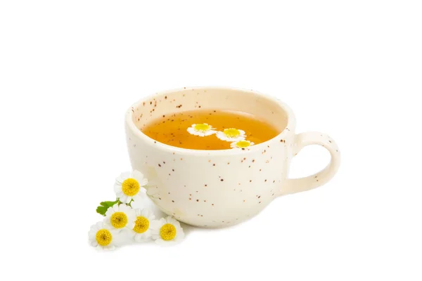 美味的滋补品 舒缓和放松的洋甘菊茶 与洋甘菊花隔离在白色的背景 香草茶 — 图库照片