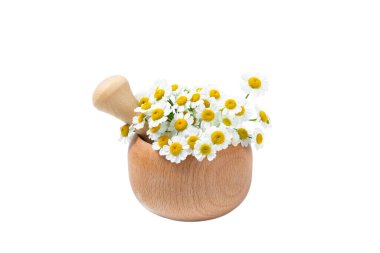 Şifalı bitkilerle havan topu. Beyaz arka planda izole edilmiş papatya çayı ile havan topu. Şifalı bitkiler. Alternatif tıp. Tasarım. Kolaj.