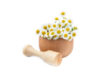 Şifalı bitkilerle havan topu. Beyaz arka planda izole edilmiş papatya çayı ile havan topu. Şifalı bitkiler. Alternatif tıp. Tasarım. Kolaj.