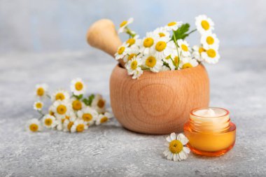 Mavi arka planda papatya çiçeği olan yüz, vücut ve eller için açık bir krem kavanozu. Bitki dermatolojik kozmetik hijyen kremi. Doğal kozmetik ürünü. Güzellik konsepti. Kozmetik tüp. Metin için MOCKUP.s..