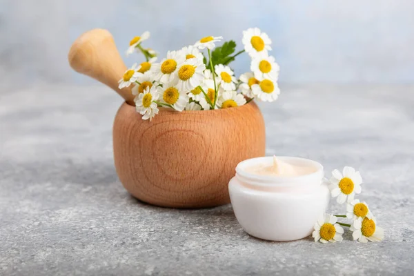 Mavi arka planda papatya çiçeği olan yüz, vücut ve eller için açık bir krem kavanozu. Bitki dermatolojik kozmetik hijyen kremi. Doğal kozmetik ürünü. Güzellik konsepti. Kozmetik tüp. Metin için MOCKUP.s..