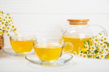 Arka planda taze papatya çiçekleri olan bitki çayı. Sakinleştirici ve rahatlatıcı bir içecek. Dokunulmazlık. Bir fincan sıcak papatya çayı. Çay içme konsepti. Çay seremonisi. Metin için yer, kopyalama alanı.