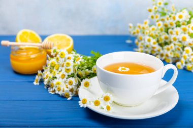 Arka planda taze papatya çiçekleri olan bitki çayı. Sakinleştirici ve rahatlatıcı bir içecek. Dokunulmazlık. Bir fincan sıcak papatya çayı. Çay içme konsepti. Çay seremonisi. Metin için yer, kopyalama alanı.