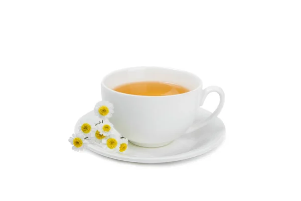 Herbal Tea Fresh Chamomile Flowers Isolated White Background Calming Relaxing — Stock Photo, Image