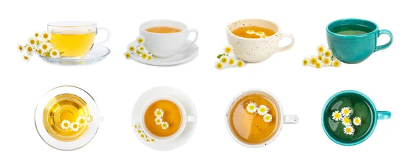 Herbal Tea Fresh Chamomile Flowers Isolated White Background Calming Relaxing — Stock Photo, Image