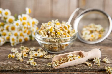 Tahta bir masanın üzerinde papatya çiçekleri. Rahatlatıcı papatya çayı. Bitkisel içecek. Düz plan. Ders için alan. Kopya alanı. Tıbbi önleme ve bağışıklık konsepti. Halk alternatif tıbbı.