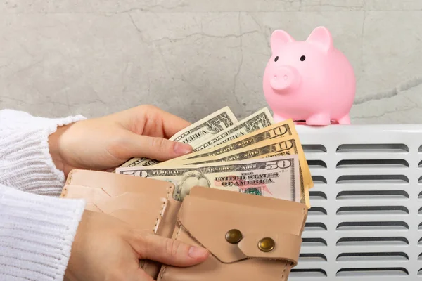 Conceito Poupança Dinheiro Banco Porquinho Radiador Com Regulador Temperatura Fundo — Fotografia de Stock