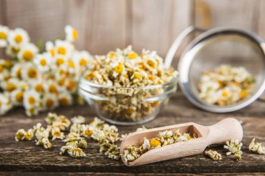 Tahta bir masanın üzerinde papatya çiçekleri. Rahatlatıcı papatya çayı. Bitkisel içecek. Düz plan. Ders için alan. Kopya alanı. Tıbbi önleme ve bağışıklık konsepti. Halk alternatif tıbbı.