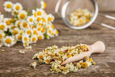 Tahta bir masanın üzerinde papatya çiçekleri. Rahatlatıcı papatya çayı. Bitkisel içecek. Düz plan. Ders için alan. Kopya alanı. Tıbbi önleme ve bağışıklık konsepti. Halk alternatif tıbbı.