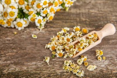 Tahta bir masanın üzerinde papatya çiçekleri. Rahatlatıcı papatya çayı. Bitkisel içecek. Düz plan. Ders için alan. Kopya alanı. Tıbbi önleme ve bağışıklık konsepti. Halk alternatif tıbbı.