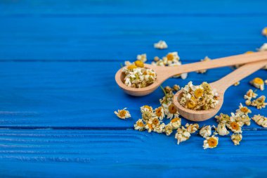 Tahta bir masanın üzerinde papatya çiçekleri. Rahatlatıcı papatya çayı. Bitkisel içecek. Düz plan. Ders için alan. Kopya alanı. Tıbbi önleme ve bağışıklık konsepti. Halk alternatif tıbbı.