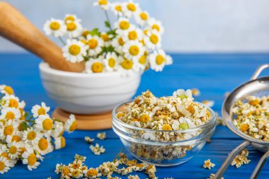 Tahta bir masanın üzerinde papatya çiçekleri. Rahatlatıcı papatya çayı. Bitkisel içecek. Düz plan. Ders için alan. Kopya alanı. Tıbbi önleme ve bağışıklık konsepti. Halk alternatif tıbbı.