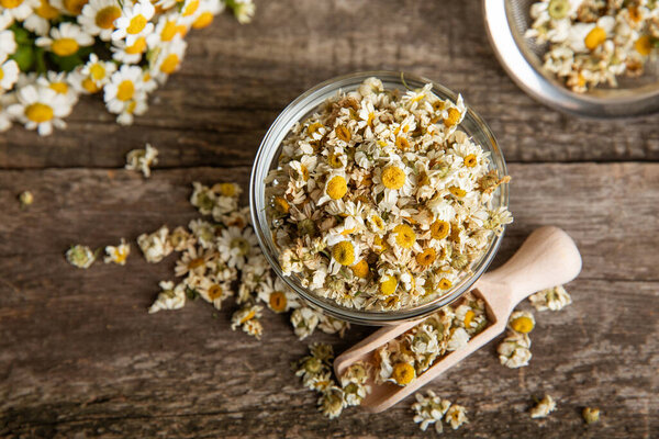 Dry chamomile flowers on a wooden table. Soothing chamomile tea. Herbal drink. flat layout. Space for text.Copy space.Medical prevention and immune concept. Folk alternative medicine.