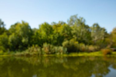 Dağ ormanı ve gölün bulanık arkaplanı. Vahşi doğa. Yaprak döken orman. Dağlarda yüksek dağ gölü