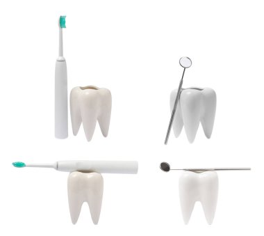 Diş fırçası ve diş modeli beyaz arka planda izole edilmiş. Elektrikli diş fırçası. Tutucularda bir çift diş fırçası. Oral bakım konsepti. Dişçi konsepti.