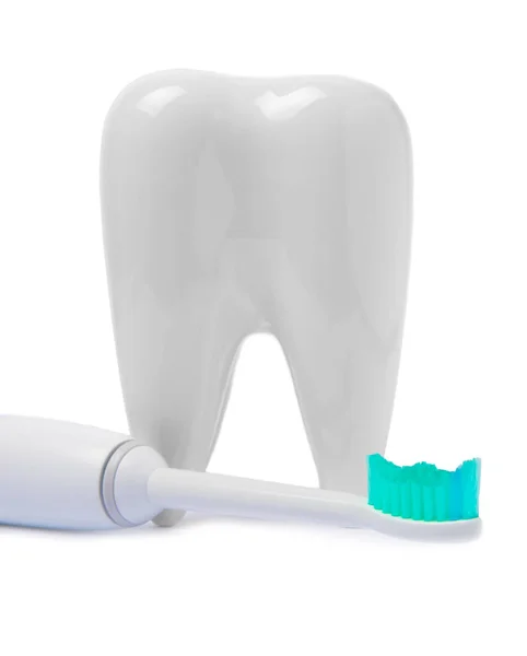 Зубная Щетка Зубная Модель Изолированы Белом Фоне Набор Зубных Щёток — стоковое фото