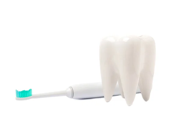 Toothbrush Tooth Model Isolated White Background Electric Toothbrush Set Toothbrushes — Stock Photo, Image