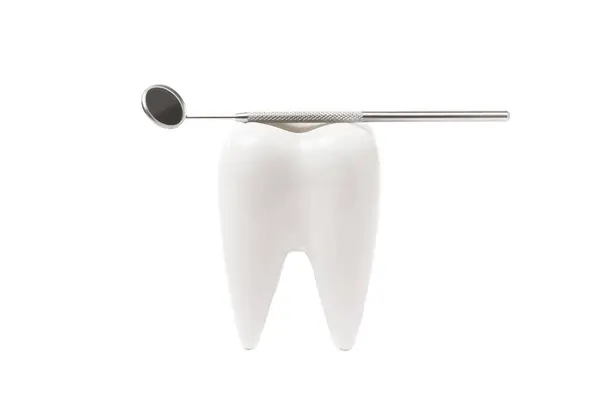 Modelo Dientes Instrumentos Dentales Aislados Sobre Fondo Blanco Cepillo Dientes — Foto de Stock