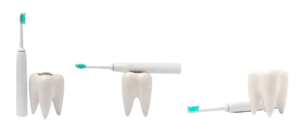 Toothbrush Tooth Model Isolated White Background Electric Toothbrush Set Toothbrushes — Stock Photo, Image