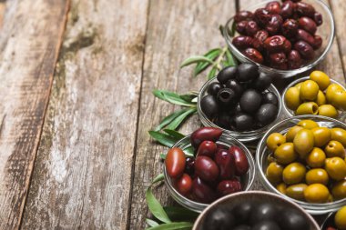 Arka planda yeşil, kırmızı ve siyah zeytin seti. Kâselerde çeşitli zeytin ve taze zeytin yaprakları. Vejetaryen. Zeytin meyveleri. Mesaj için yer. Boşluğu kopyala