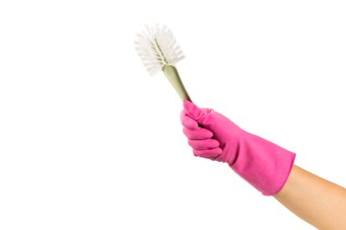 Eldeki temizlik için fırça. Beyaz arka planda izole edilmiş kadın el temizliği. Temizlik ya da temizlik kavramları.