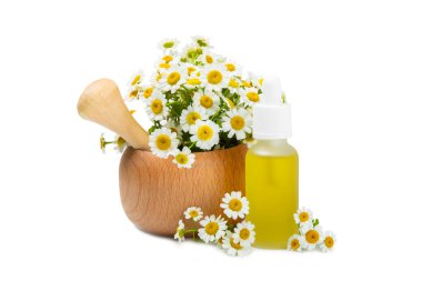 Beyaz arka planda izole edilmiş papatya yağı içeren cam şişe. Papatya çiçekleri, yaklaşın. Aromaterapi, spa ve bitkisel ilaç malzemeleri. Güzellik konsepti. Doğal Kozmetik