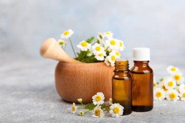 Eski ahşap arka planda papatya yağı bulunan cam şişe. Papatya çiçekleri, yaklaşın. Aromaterapi, spa ve bitkisel ilaç malzemeleri. Güzellik konsepti. Uzayı kopyala. Doğal Kozmetik