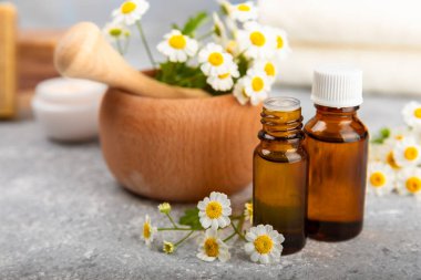 Eski ahşap arka planda papatya yağı bulunan cam şişe. Papatya çiçekleri, yaklaşın. Aromaterapi, spa ve bitkisel ilaç malzemeleri. Güzellik konsepti. Uzayı kopyala. Doğal Kozmetik