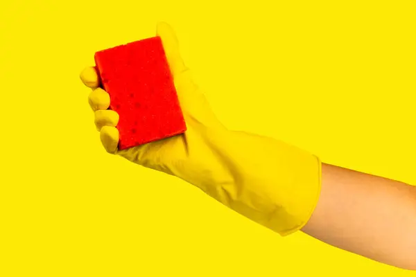 Cleaning with rubber gloves and sponge on texture background. Cleaning sponge in hands with place for text. Cleaning concept. Sponge for washing dishes.