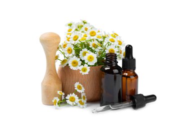 Beyaz arka planda izole edilmiş papatya yağı içeren cam şişe. Papatya çiçekleri, yaklaşın. Aromaterapi, spa ve bitkisel ilaç malzemeleri. Güzellik konsepti. Doğal Kozmetik