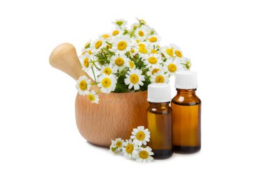 Beyaz arka planda izole edilmiş papatya yağı içeren cam şişe. Papatya çiçekleri, yaklaşın. Aromaterapi, spa ve bitkisel ilaç malzemeleri. Güzellik konsepti. Doğal Kozmetik