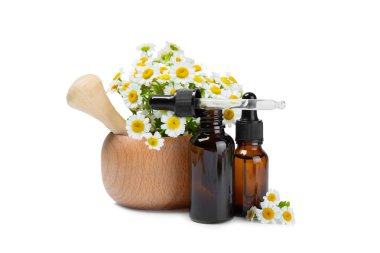 Beyaz arka planda izole edilmiş papatya yağı içeren cam şişe. Papatya çiçekleri, yaklaşın. Aromaterapi, spa ve bitkisel ilaç malzemeleri. Güzellik konsepti. Doğal Kozmetik