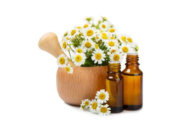 Beyaz arka planda izole edilmiş papatya yağı içeren cam şişe. Papatya çiçekleri, yaklaşın. Aromaterapi, spa ve bitkisel ilaç malzemeleri. Güzellik konsepti. Doğal Kozmetik