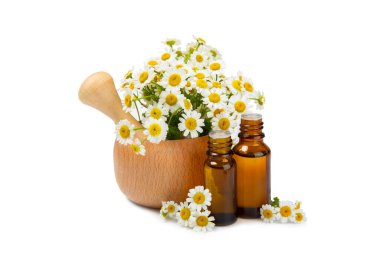 Beyaz arka planda izole edilmiş papatya yağı içeren cam şişe. Papatya çiçekleri, yaklaşın. Aromaterapi, spa ve bitkisel ilaç malzemeleri. Güzellik konsepti. Doğal Kozmetik