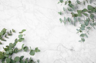 Okaliptüs yaprakları. Aromaterapi. Beyaz mermer arka planda taze okaliptüs yakın plan. Güzel kokulu gerekli yağ. Yukarıdan bak. Uzayı kopyala Doğal kozmetik ürünleri ve cilt bakımı konsepti.