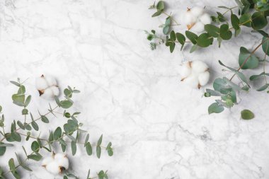Okaliptüs yaprakları. Aromaterapi. Beyaz mermer arka planda taze okaliptüs yakın plan. Güzel kokulu gerekli yağ. Yukarıdan bak. Uzayı kopyala Doğal kozmetik ürünleri ve cilt bakımı konsepti.